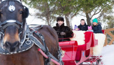 Carriage ride_480351_high